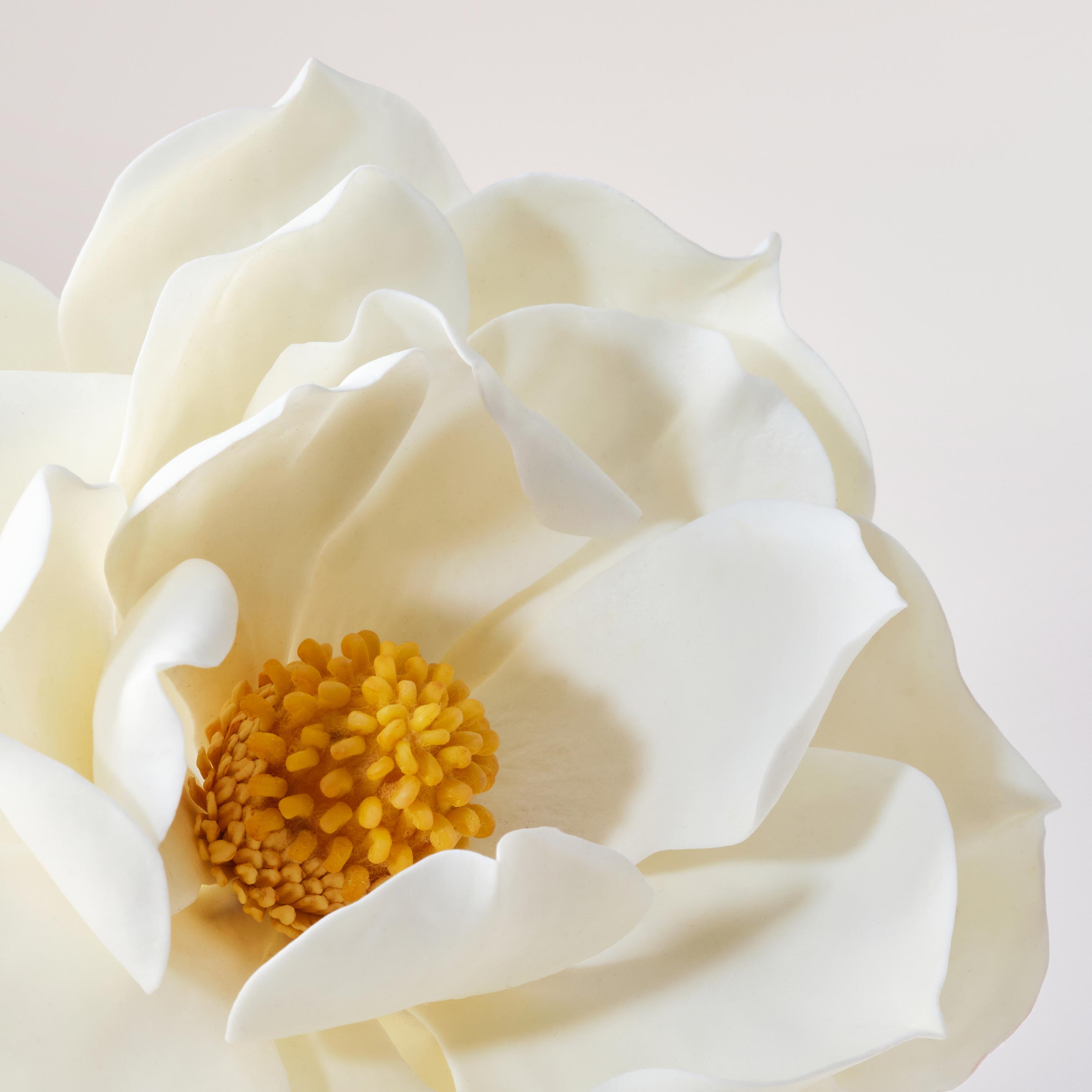 Crème jeunesse sublimatrice