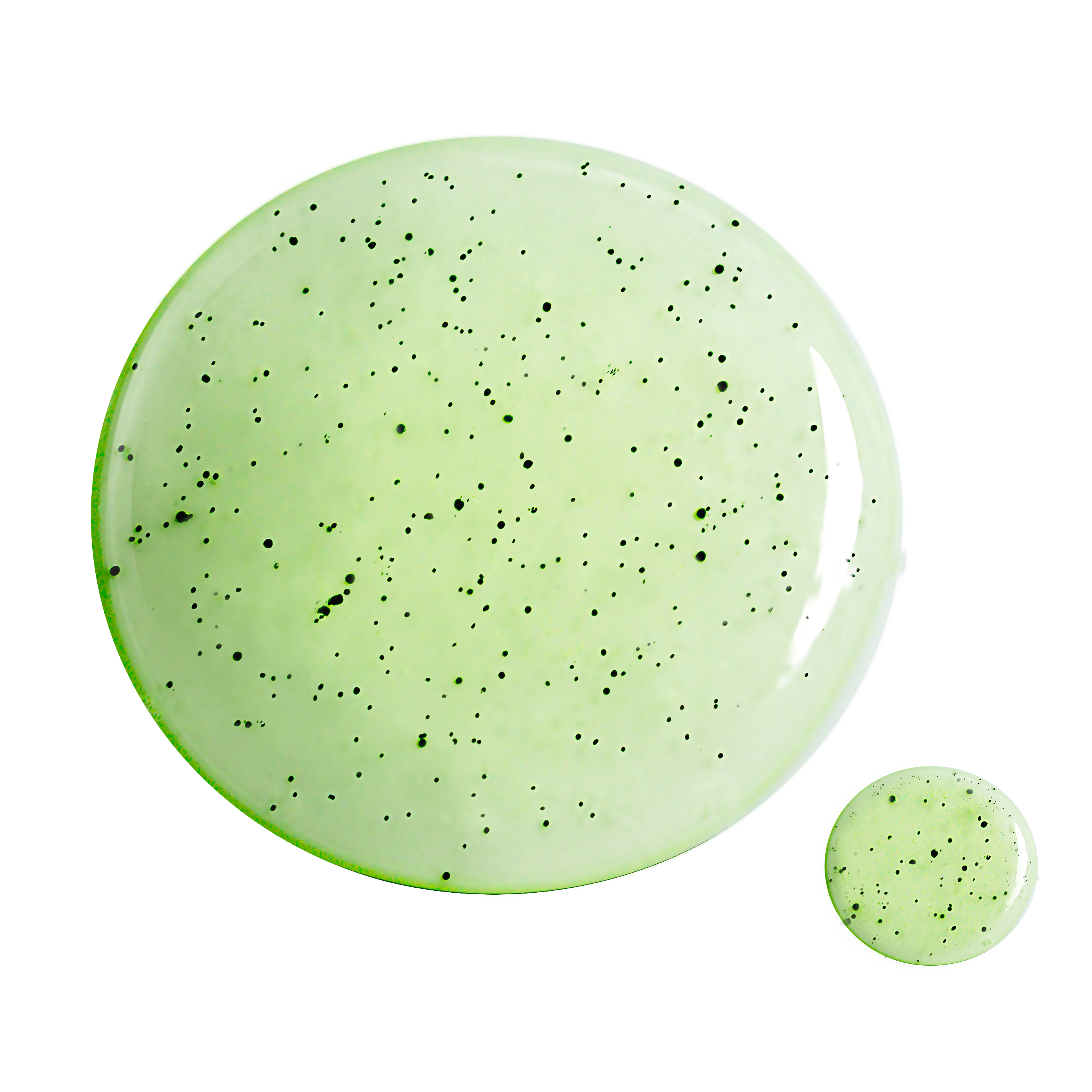 Gelée nettoyante moussante purifiante