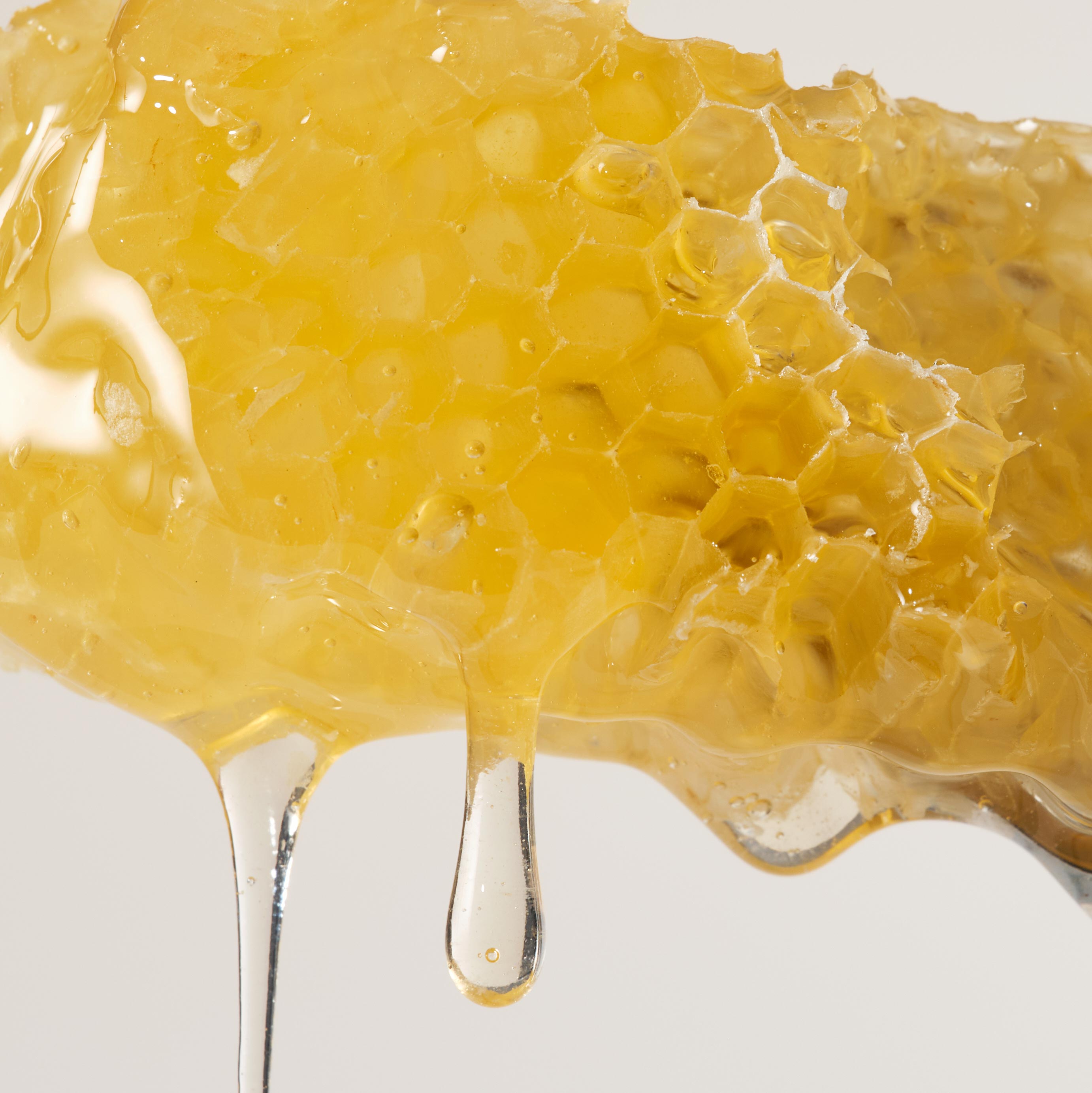 Velvety Nourishing Hand Cream